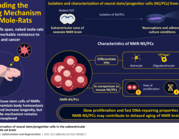 An animal that is not affected by aging—new scientific research