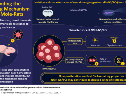 An animal that is not affected by aging—new scientific research